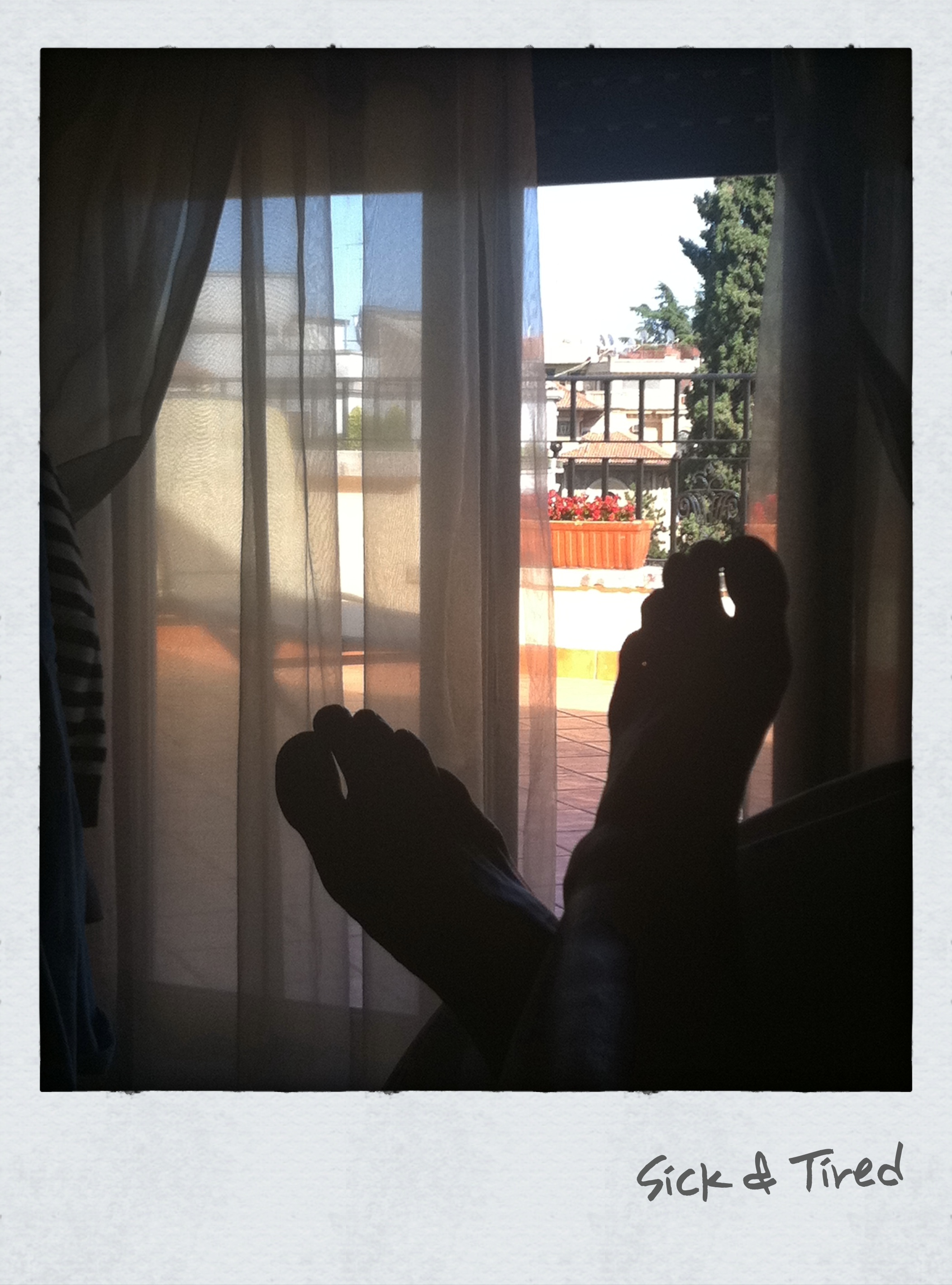bild copia