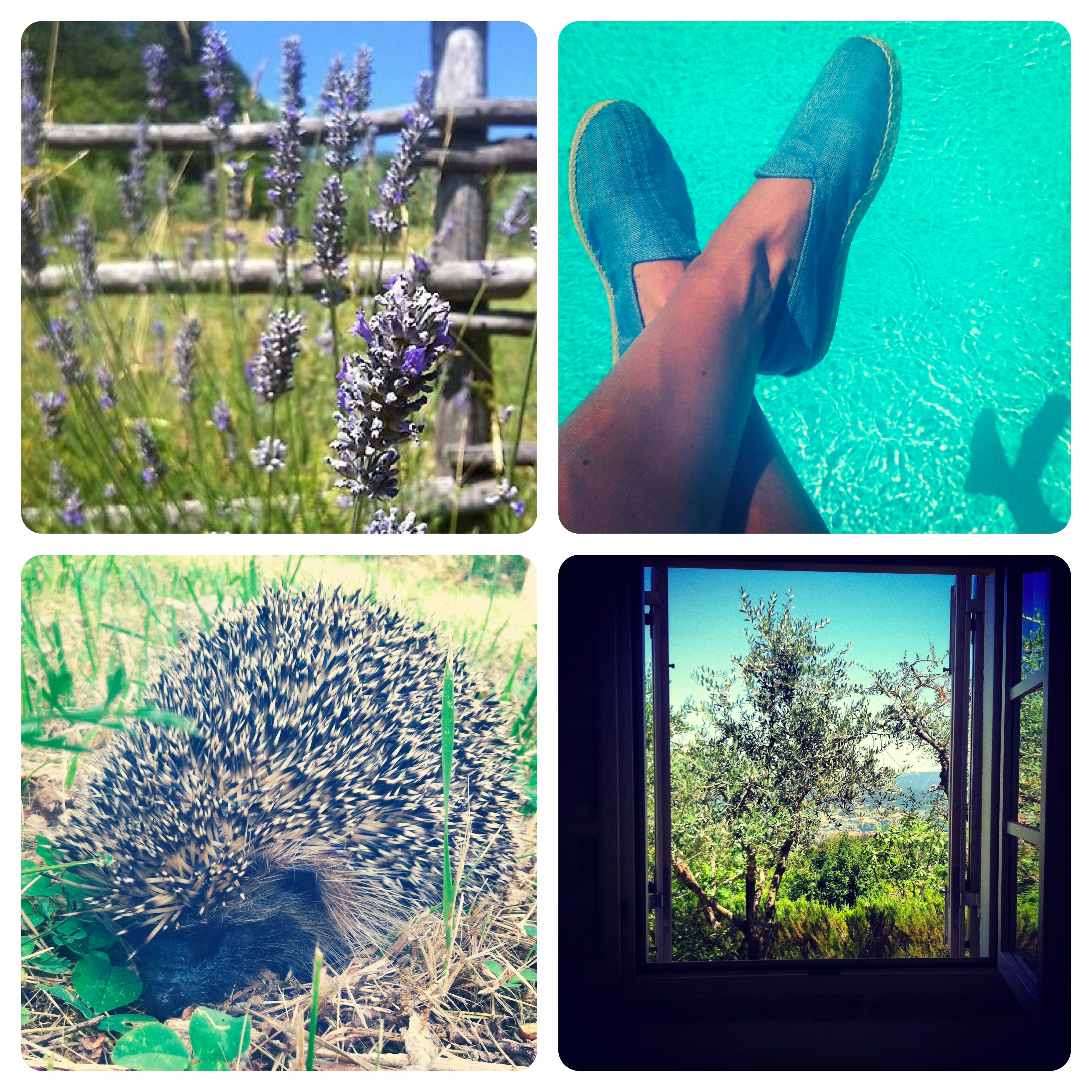summer