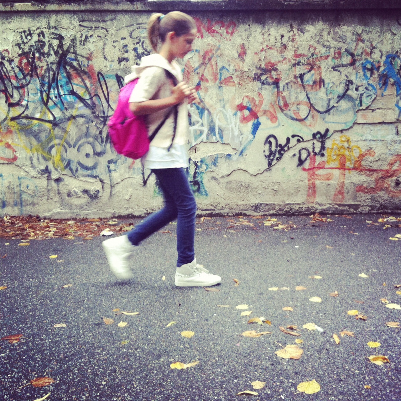 bild copia