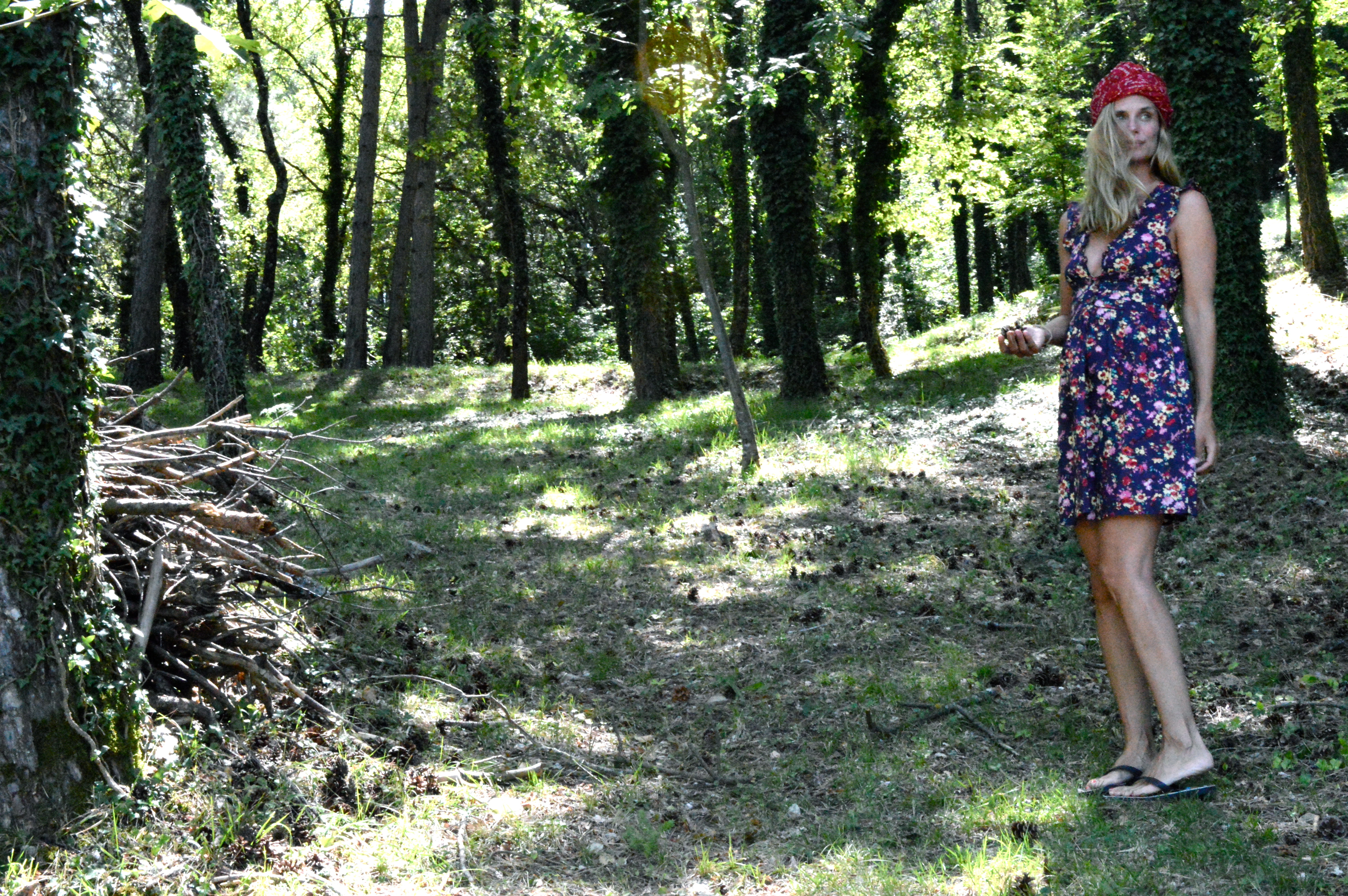 woods